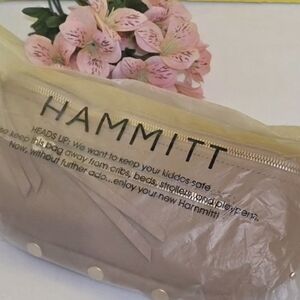Hammitt Charles Bag